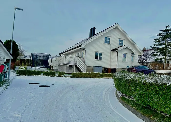 Modern Basement 1bhk Private Entry Apartament