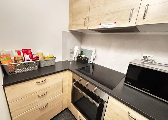 Modern Basement 1bhk Private Entry Apartament